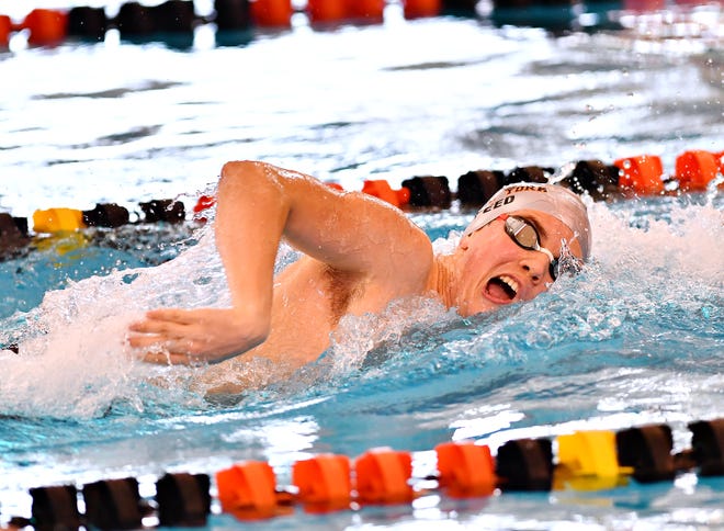 Central York's Cameron Speed wins the 500 Yard Freestyle event at 4:37.40 during York-Adams League Swimming Championship at Central York High School in Springettsbury Township, Saturday, Feb. 9, 2019. Dawn J. Sagert photo